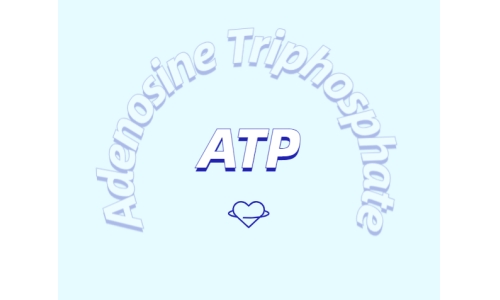 ATP補充劑對運動有什么益處？